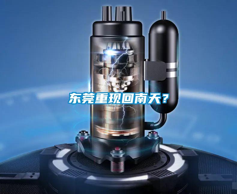 东莞重现回南天?