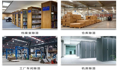 为什么竹笋烘干房需要除湿机? 为什么竹笋烘干房需要除湿机?