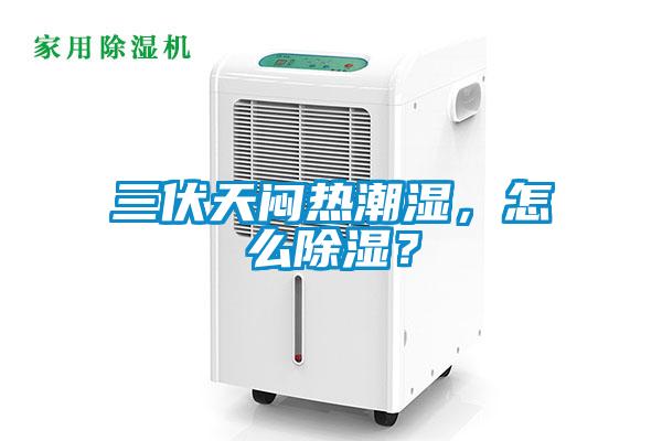 三伏天闷热潮湿,怎么除湿?