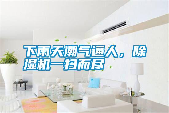 下雨天潮气逼人,除湿机一扫而尽
