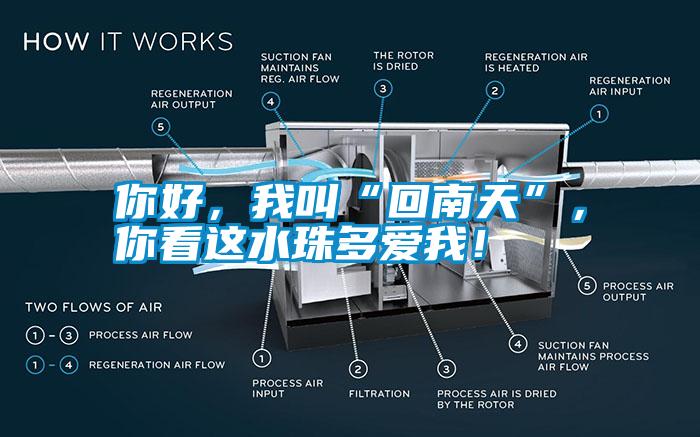 你好,我叫“回南天”,你看这水珠多爱我!