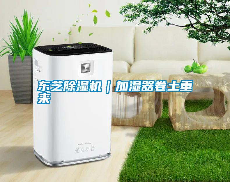 东芝除湿机|加湿器卷土重来