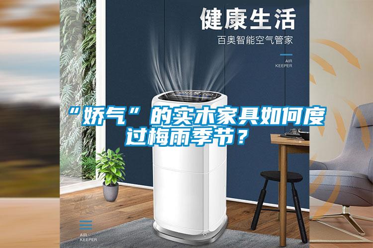 “娇气”的实木家具如何度过梅雨季节?