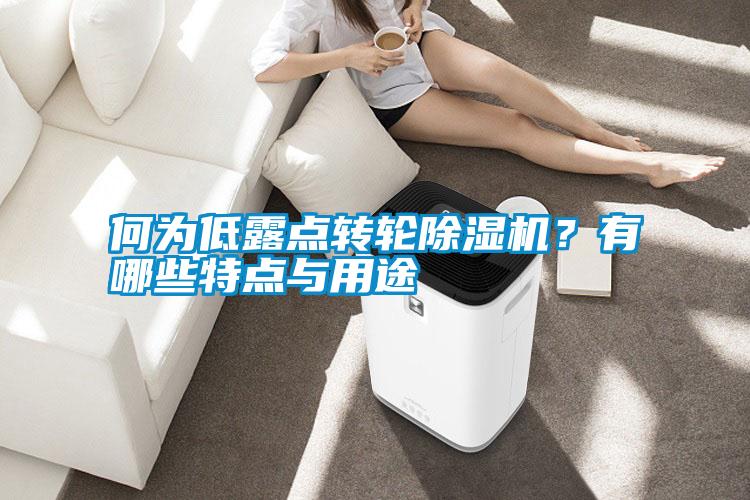 何为低露点转轮除湿机?有哪些特点与用途