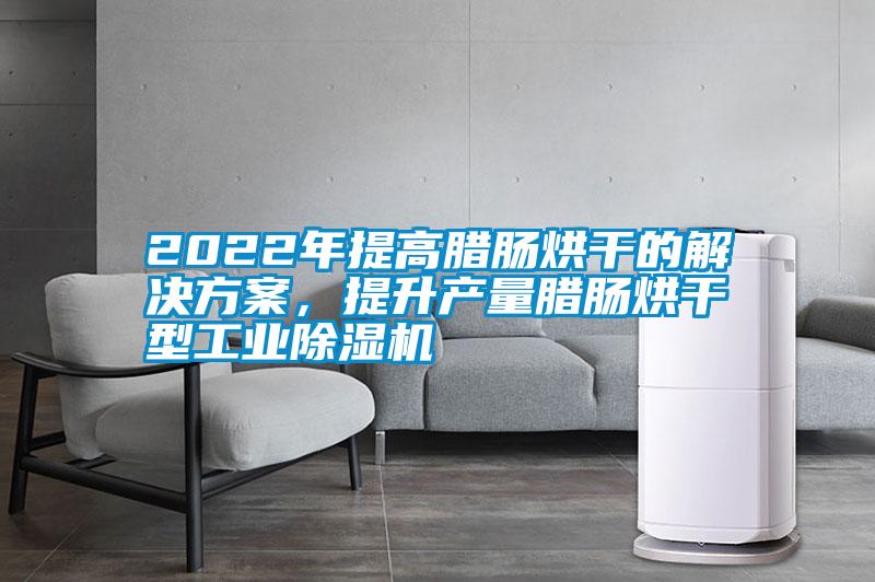 2022年提高腊肠烘干的解决方案,提升产量腊肠烘干型工业除湿机