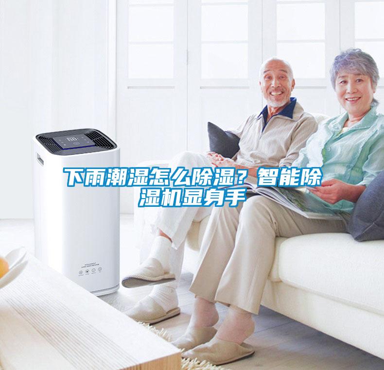 下雨潮湿怎么除湿?智能除湿机显身手