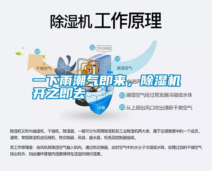 一下雨潮气即来,除湿机开之即去