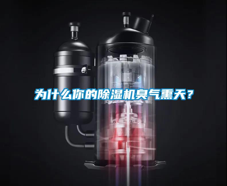 为什么你的除湿机臭气熏天?