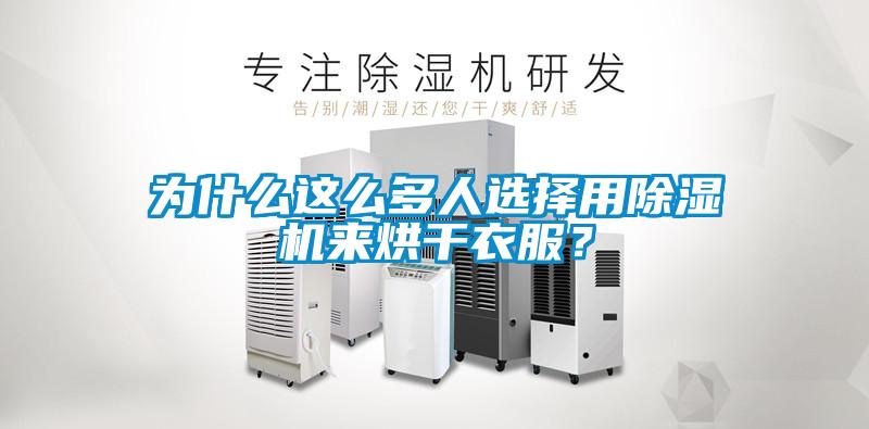 为什么这么多人选择用除湿机来烘干衣服?