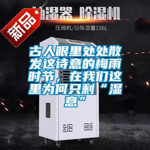 古人眼里处处散发这诗意的梅雨时节,在我们这里为何只剩“湿意”