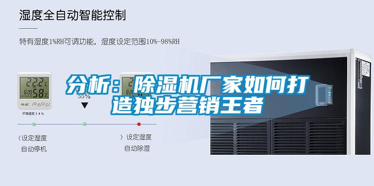 分析:除湿机厂家如何打造独步营销王者