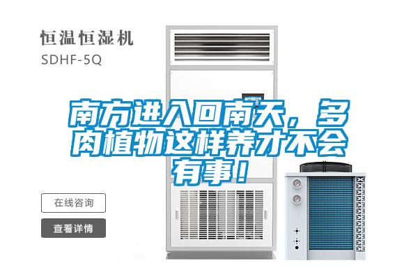 南方进入回南天,多肉植物这样养才不会有事!