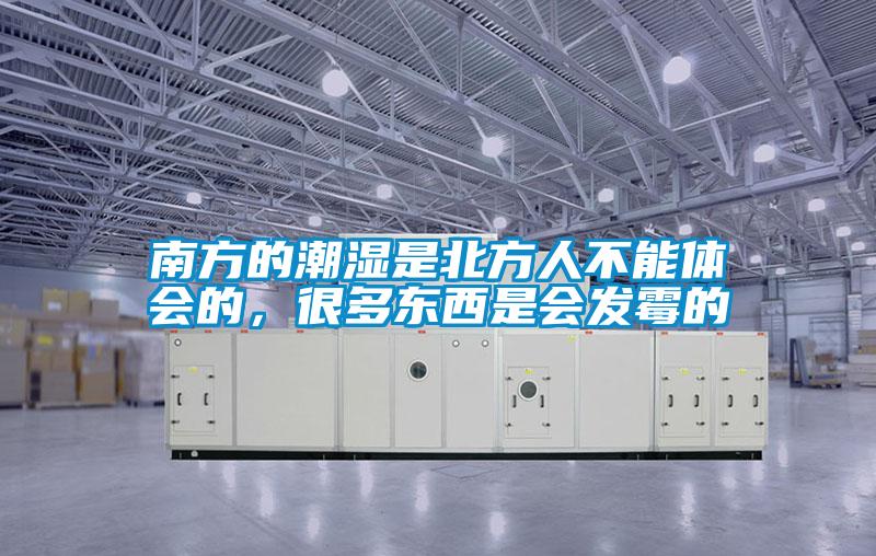 南方的潮湿是北方人不能体会的,很多东西是会发霉的