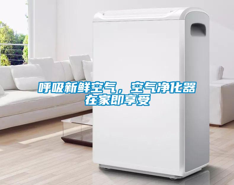 呼吸新鲜空气,空气净化器在家即享受