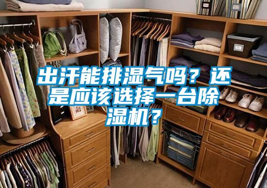 出汗能排湿气吗?还是应该选择一台除湿机?