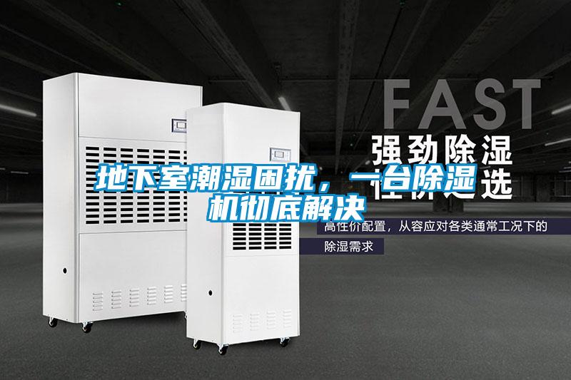地下室潮湿困扰,一台除湿机彻底解决