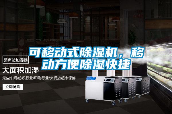 可移动式除湿机,移动方便除湿快捷