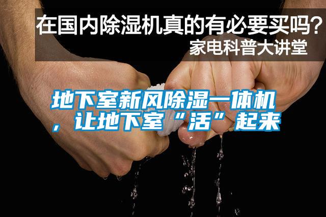 地下室新风除湿一体机,让地下室“活”起来