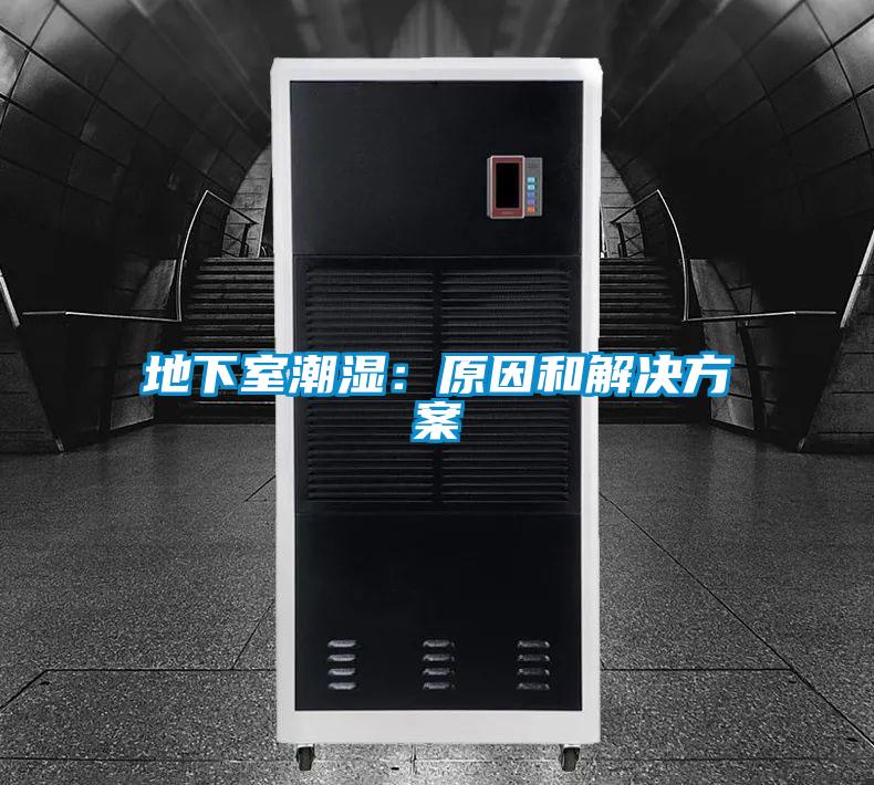 地下室潮湿:原因和解决方案