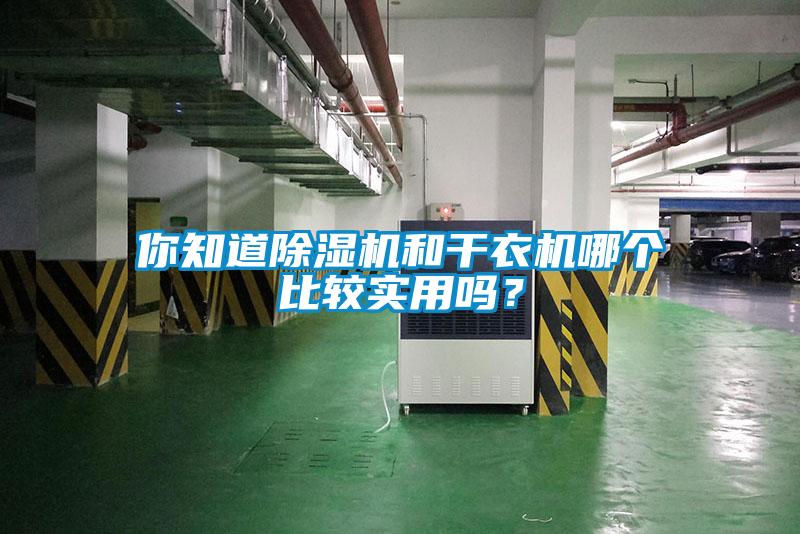 你知道除湿机和干衣机哪个比较实用吗?
