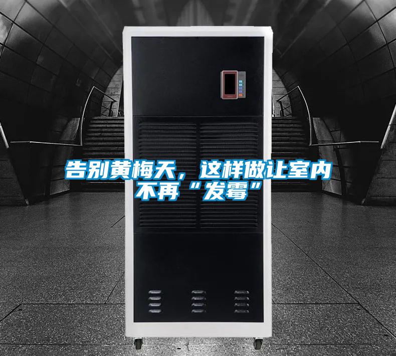 告别黄梅天,这样做让室内不再“发霉”