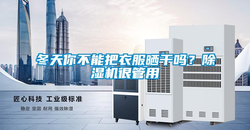 冬天你不能把衣服晒干吗?除湿机很管用