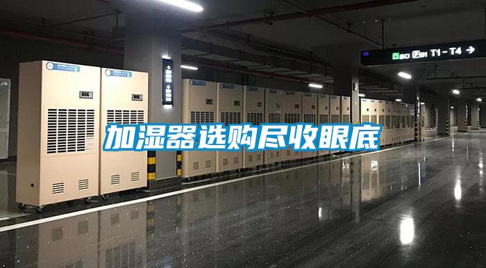 加湿器选购尽收眼底