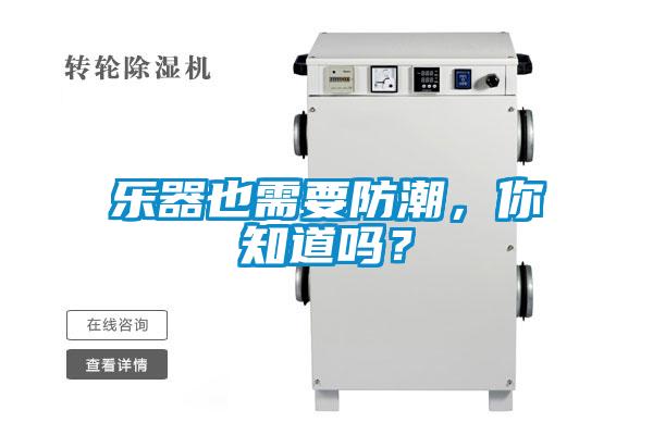 乐器也需要防潮,你知道吗?