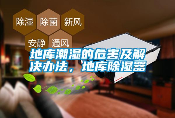 地库潮湿的危害及解决办法,地库除湿器