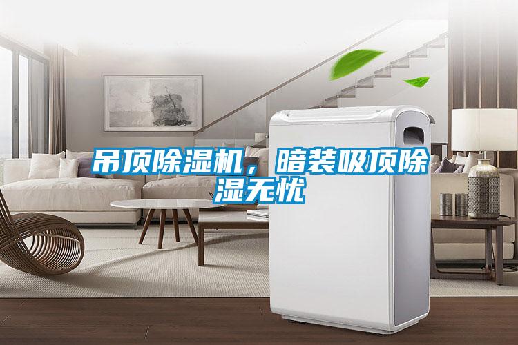 吊顶除湿机,暗装吸顶除湿无忧