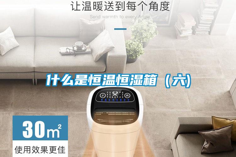 什么是恒温恒湿箱(六)