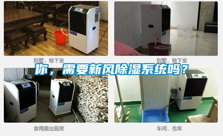 你,需要新风除湿系统吗?