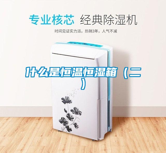 什么是恒温恒湿箱(二)