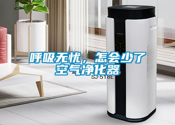 呼吸无忧,怎会少了空气净化器