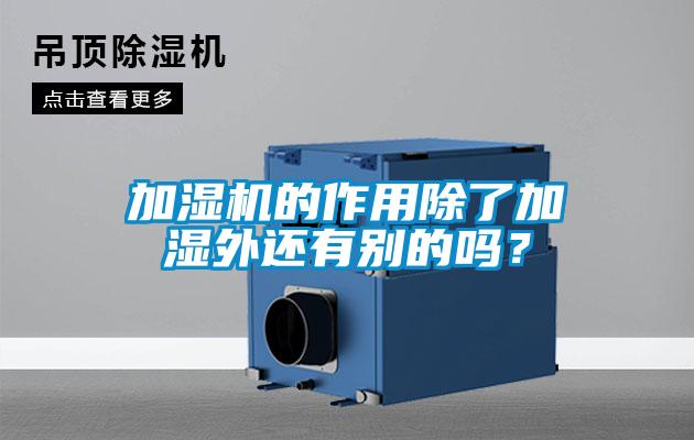 加湿机的作用除了加湿外还有别的吗?