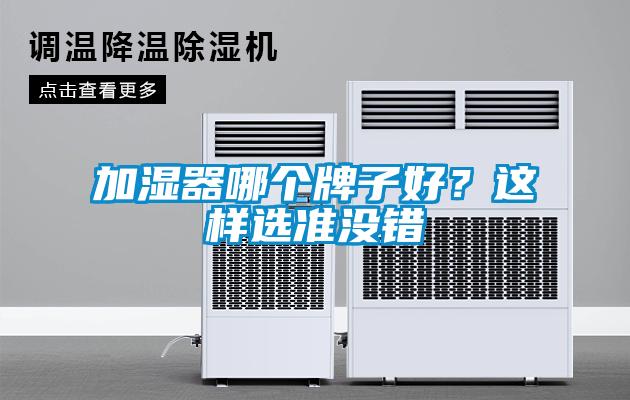 加湿器哪个牌子好?这样选准没错