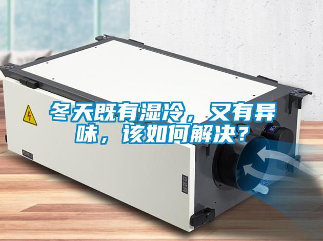 冬天既有湿冷,又有异味,该如何解决?