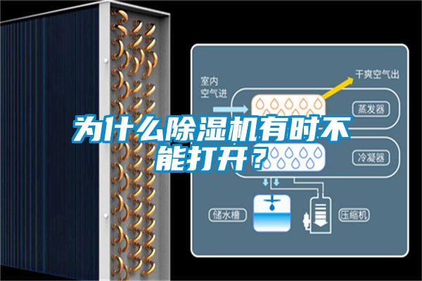 为什么除湿机有时不能打开?