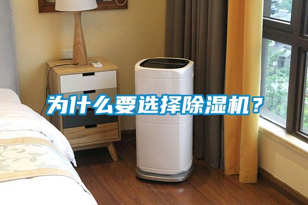 为什么要选择除湿机?