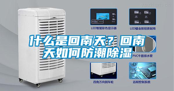 什么是回南天?回南天如何防潮除湿