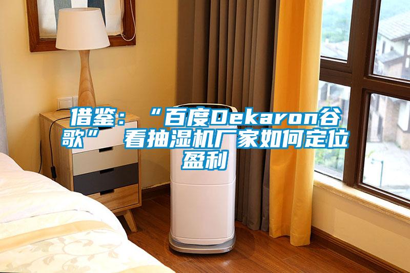 借鉴:“百度Dekaron谷歌” 看抽湿机厂家如何定位盈利