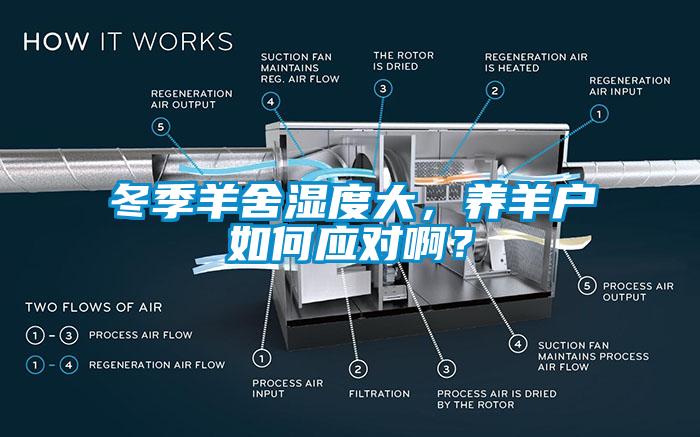 冬季羊舍湿度大,养羊户如何应对啊?