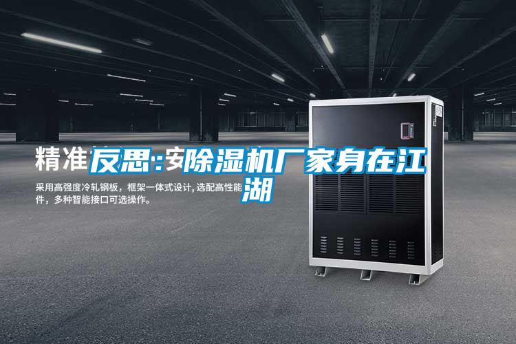 反思:除湿机厂家身在江湖