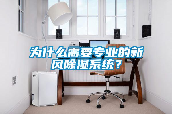 为什么需要专业的新风除湿系统?