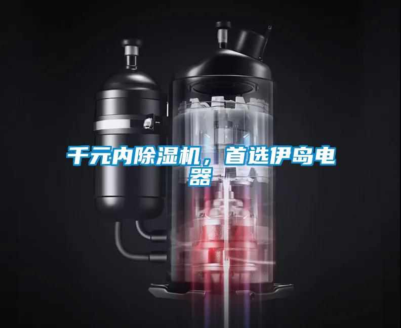 千元内除湿机,首选伊岛电器