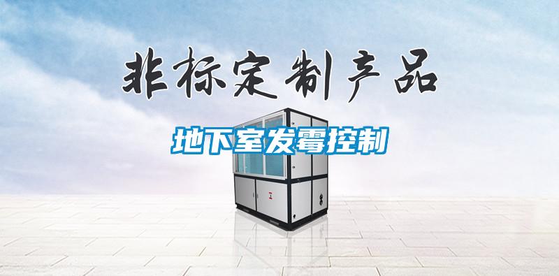 地下室发霉控制