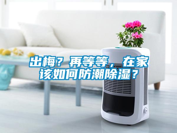出梅?再等等,在家该如何防潮除湿?