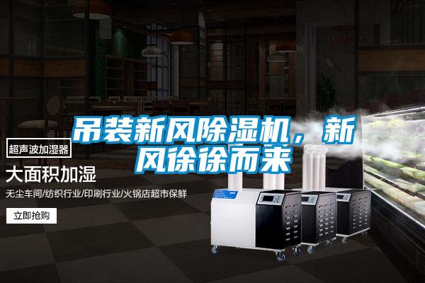 吊装新风除湿机,新风徐徐而来