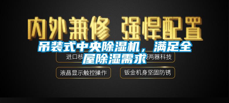 吊装式中央除湿机,满足全屋除湿需求
