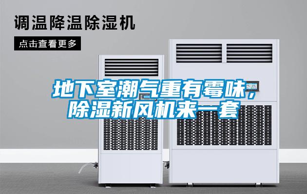 地下室潮气重有霉味,除湿新风机来一套